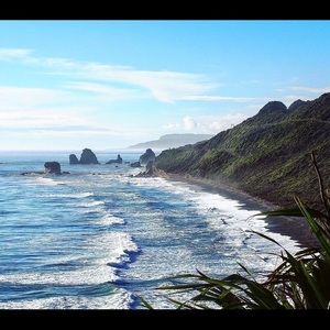 Meet your Posher, Lily